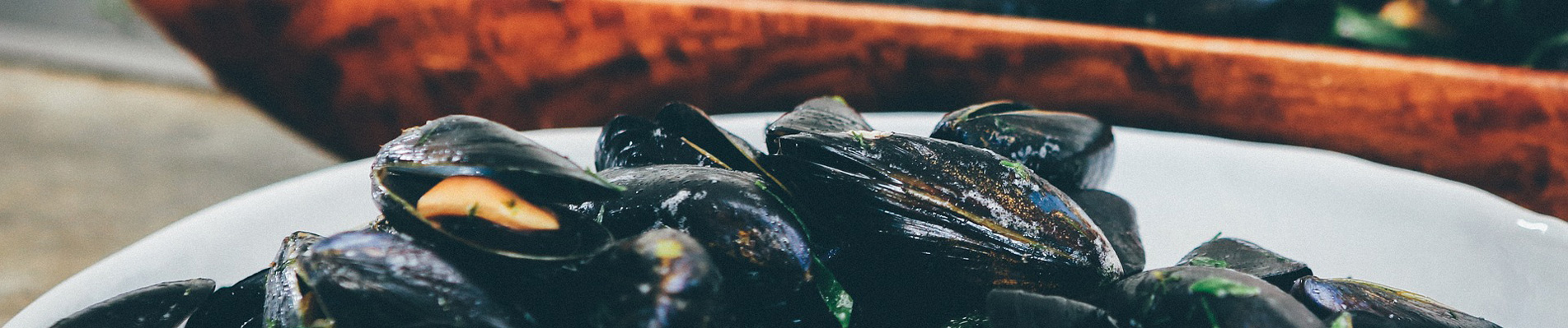 camping familial trevou treguignec