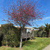 MOBIL HOME